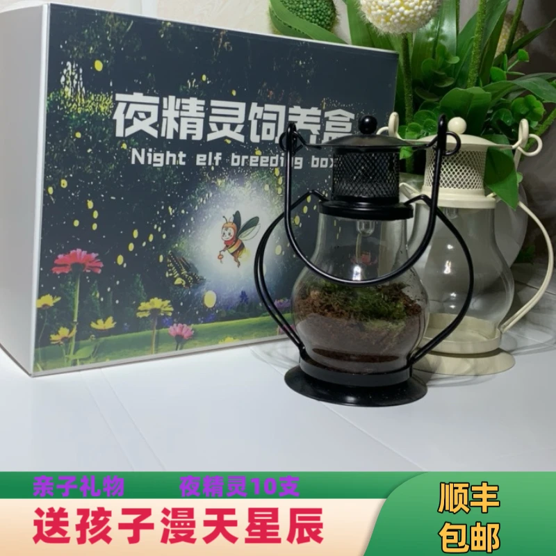 夜精灵饲养观察瓶套装 萤火虫饲养观察盒 送营养液