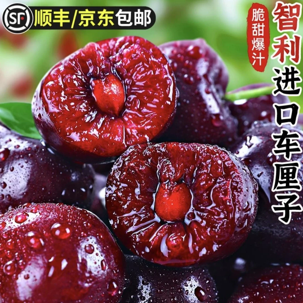 【顺丰次日达】智利空运进口车厘子4JD桑提娜当季5斤原箱水果内附果径卡桑提娜樱桃智利共和国