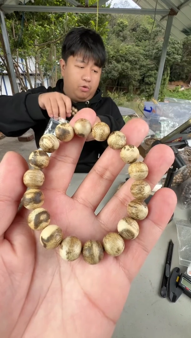 沉香沉香碎屑1.2虎斑虫漏国香单圈