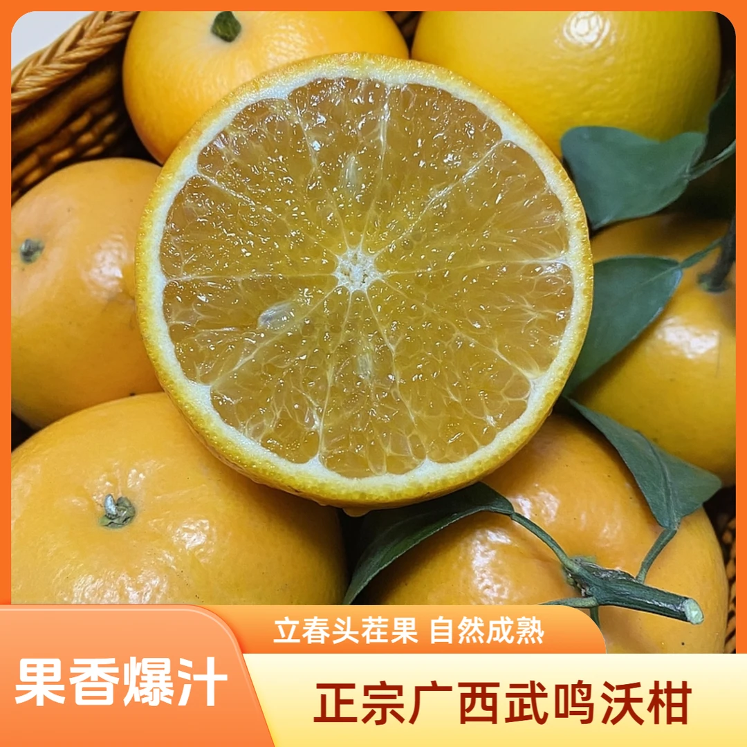 【立春福利】广西正宗武鸣沃柑新鲜采摘10斤当季水果柑橘产地直发