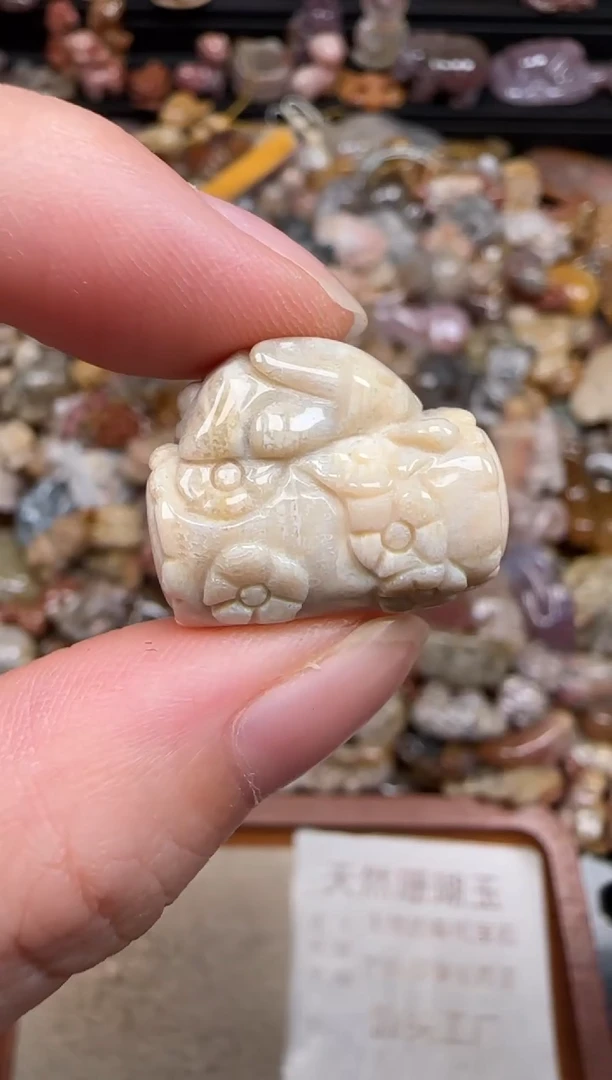 硅化珊瑚（珊瑚玉）未镶嵌颈饰484
