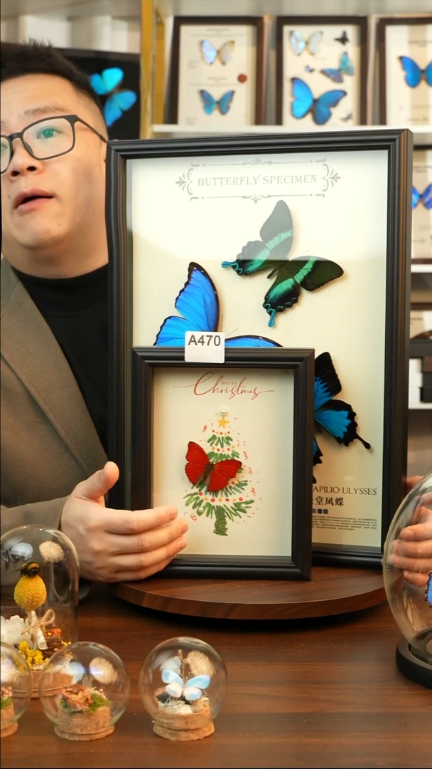 血漪蛱蝶-圣诞款（8寸方黑色欧式框）A470