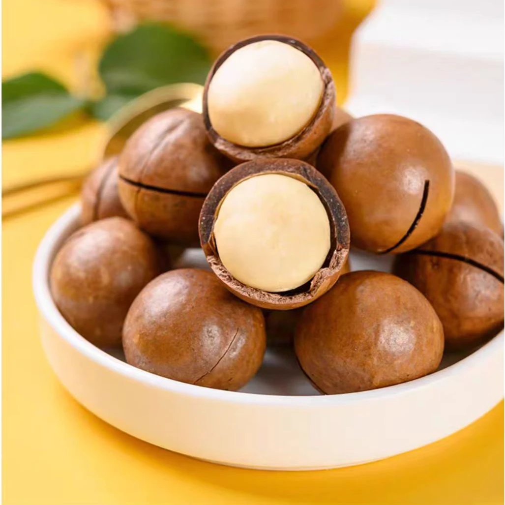 夏威夷果大颗粒果径28mm22-25mm奶香味送开果器