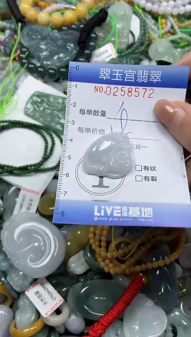 颈饰未镶嵌翡翠闪购C0258572