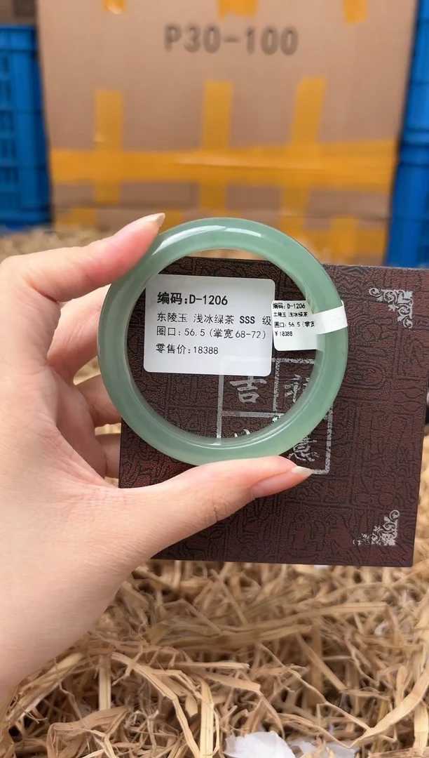未镶嵌手镯石英质玉D-1206