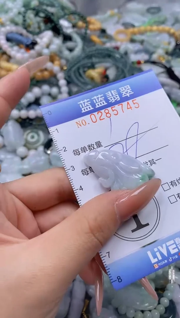 翡翠未镶嵌颈饰闪购0285745多样性发其一