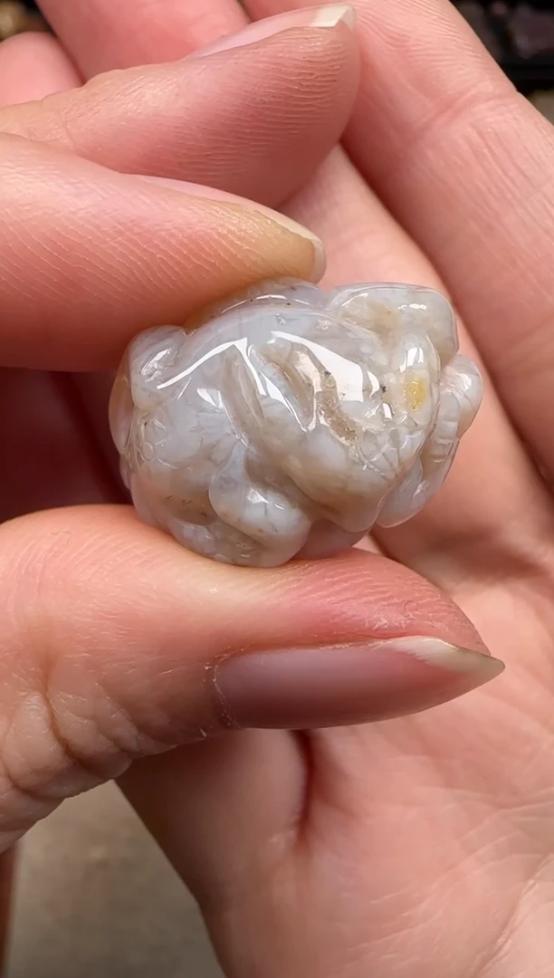 硅化珊瑚（珊瑚玉）未镶嵌颈饰683
