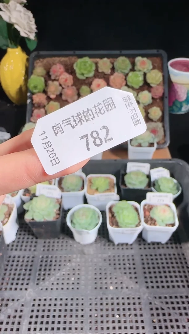 1120-782瞎子过河（小河）量拍