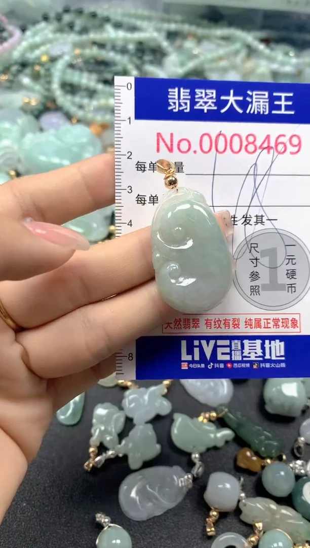 颈饰未镶嵌翡翠8469
