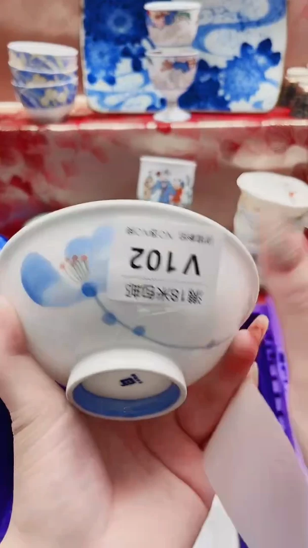 丽**辉V102***************