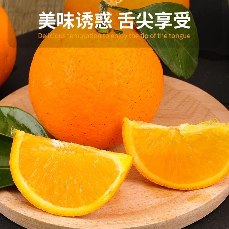 【道州冰糖橙】正宗道县柑橘研究所冰糖橙湖南永州特产应季水果