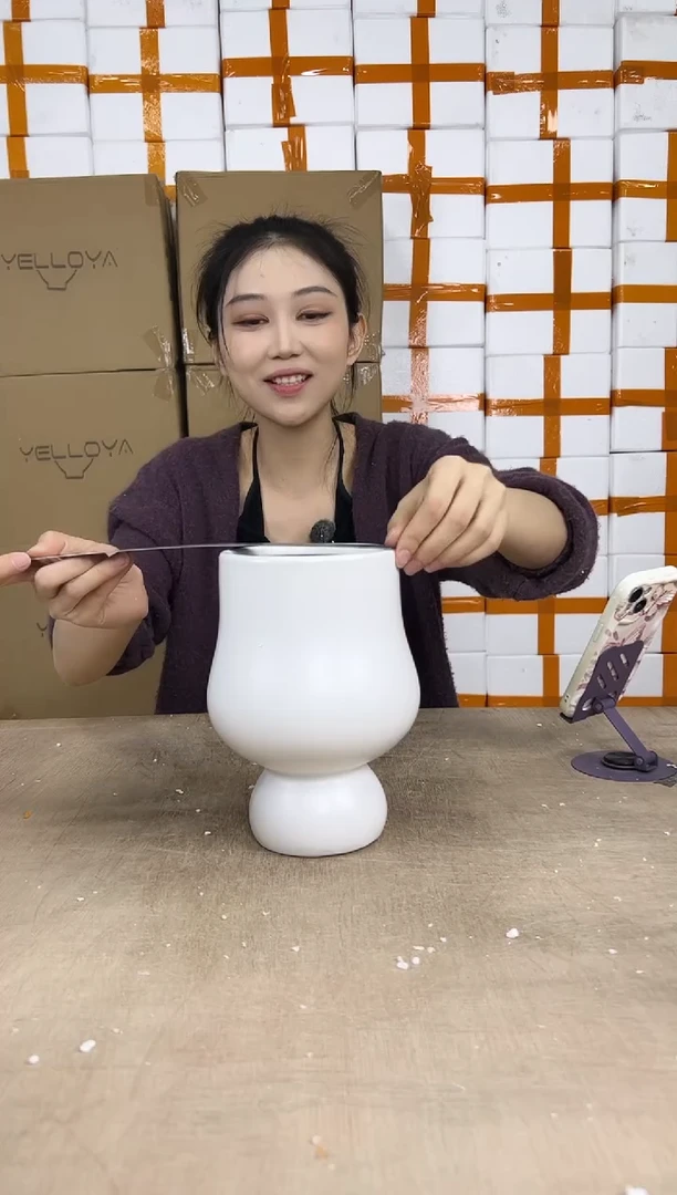 宝莲灯花瓶白色14x21
