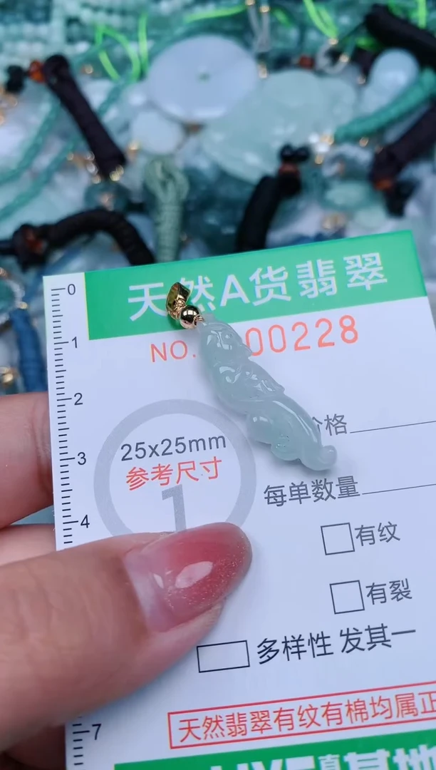 【闪购商品】翡翠颈饰未镶嵌.0000228