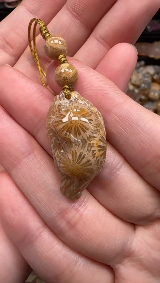 硅化珊瑚（珊瑚玉）未镶嵌颈饰190