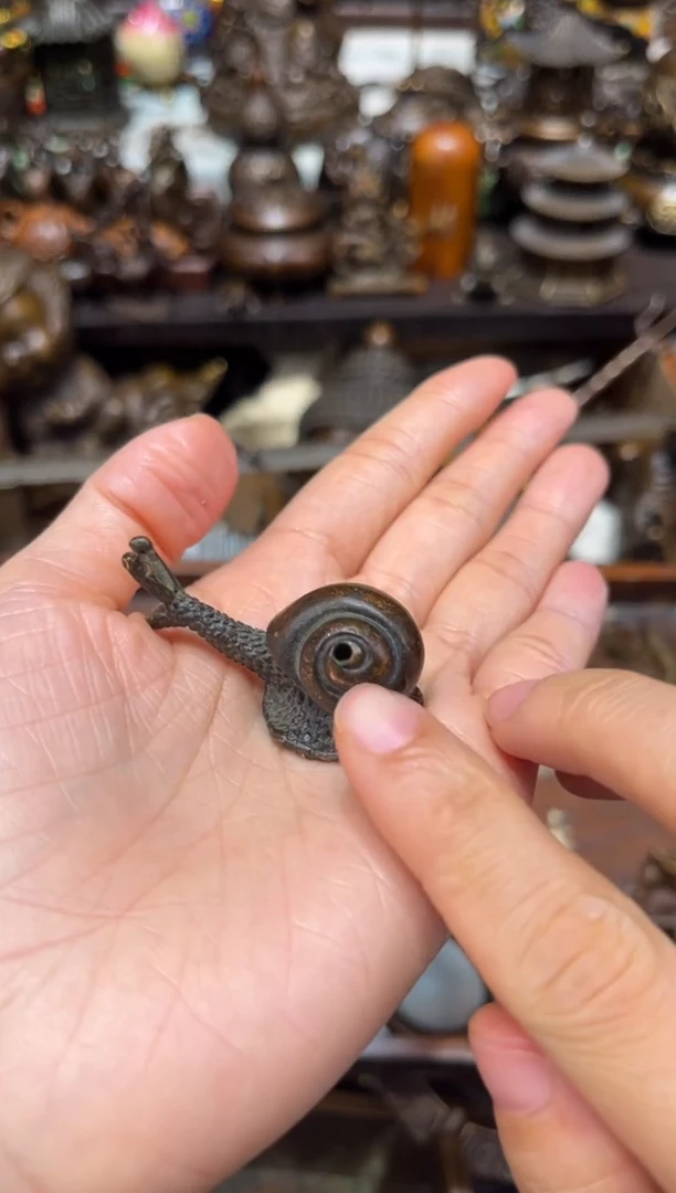 瑞瑞古铜准备开播B65858