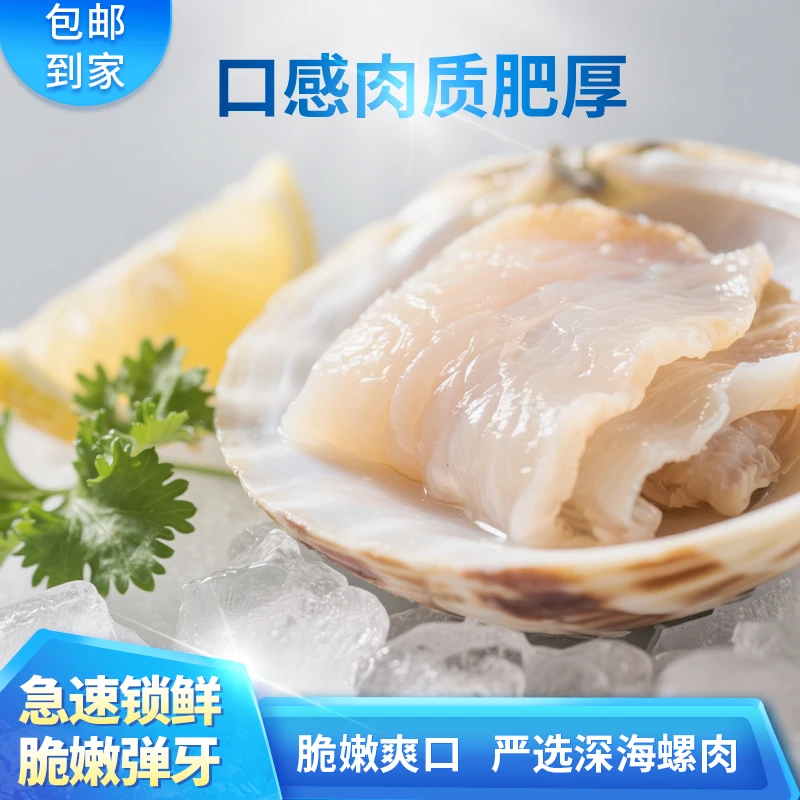 深海黄金鲍螺片新鲜海螺片爆炒日料火锅刺身海鲜螺肉片