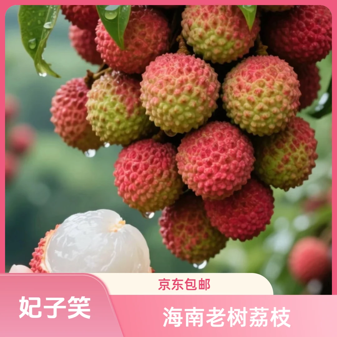 广东茂名直采老树荔枝妃子笑5斤荔枝同城送