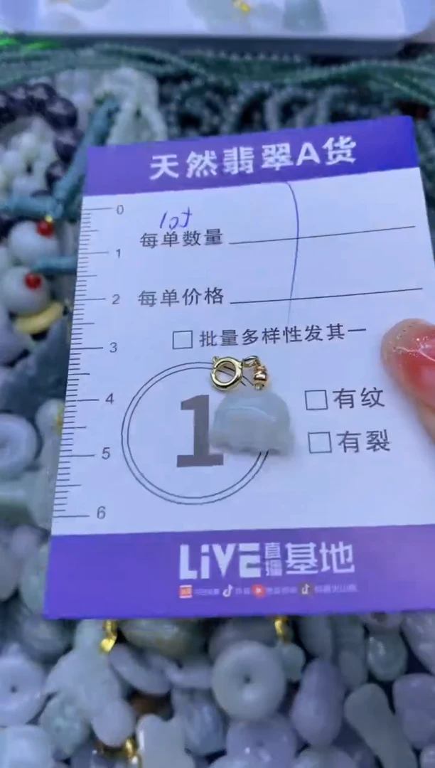 颈饰未镶嵌翡翠天然翡翠A货批量多样性发一件