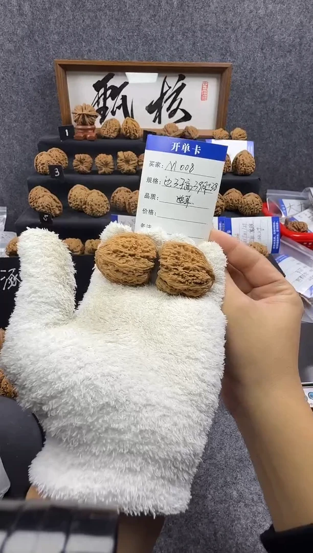 把件文玩核桃M008 37尺逆耳（龟背）