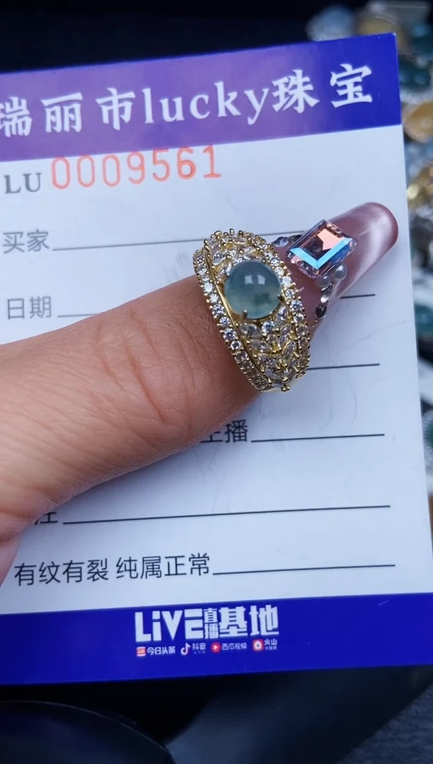 翡翠银S925镶嵌颈饰9561