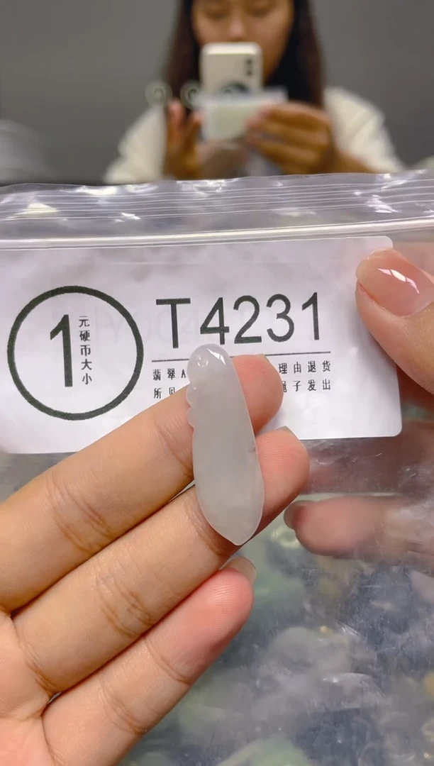 颈饰未镶嵌翡翠/ T /翡翠A货，一件也是批发价
