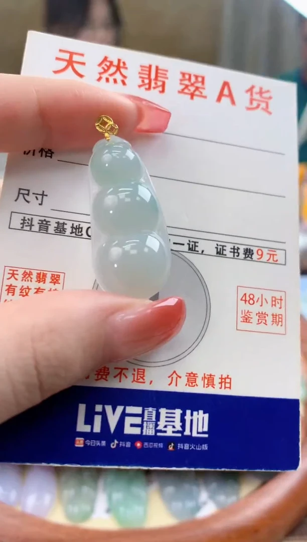 颈饰未镶嵌翡翠天然A货翡翠挂件