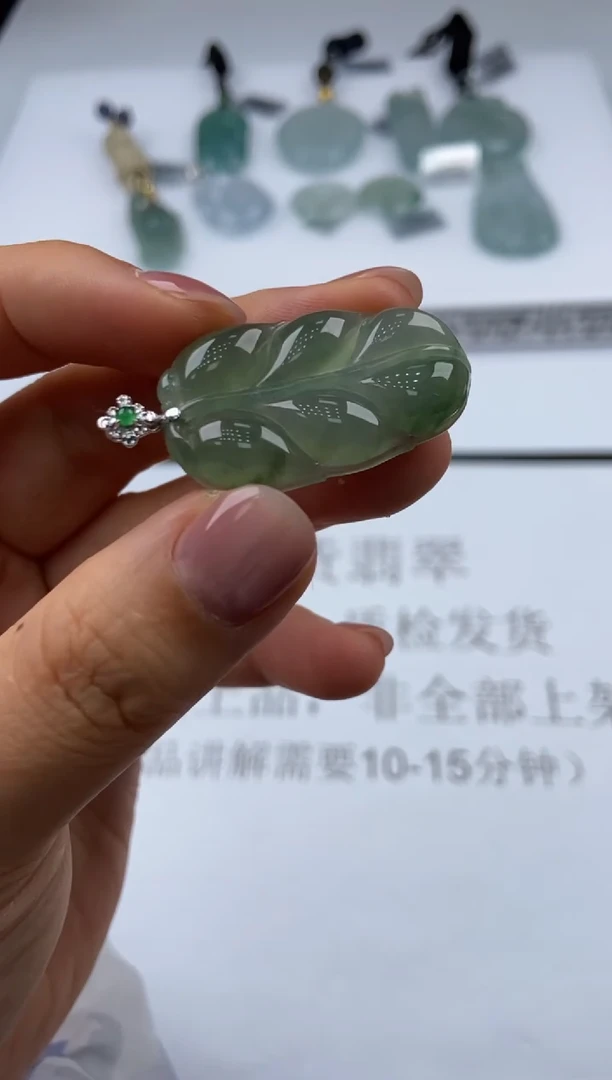 颈饰未镶嵌翡翠浅**g1