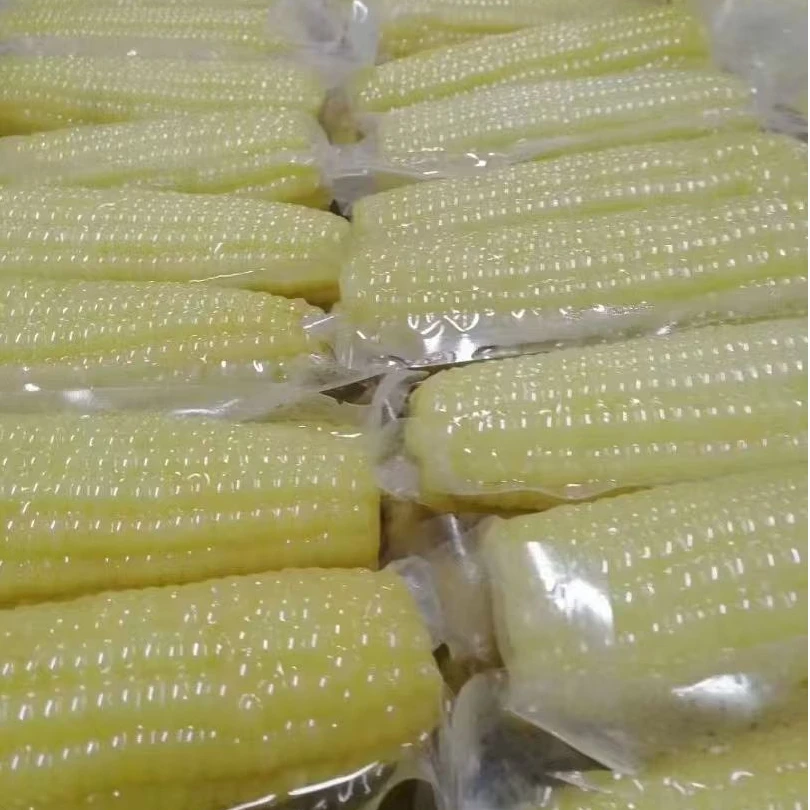 粉丝专享10大棒东北白糯玉米白糯玉米真空包装甜糯玉米