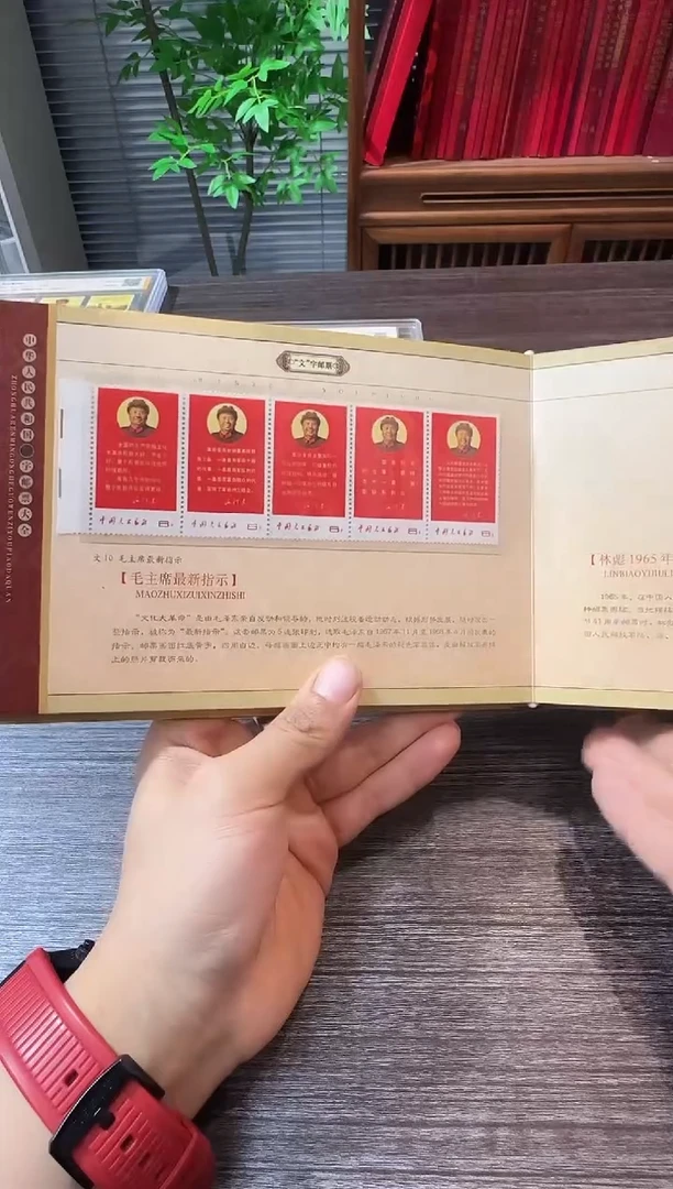 文10 封装评级鉴定收藏