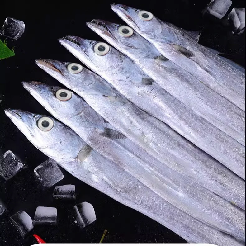 带鱼2刀鱼新鲜传冻整条鱼大鱼特大大号海鲜水产商用小眼带鱼野生