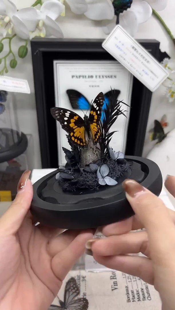 有机玻璃帅蛱蝶立标