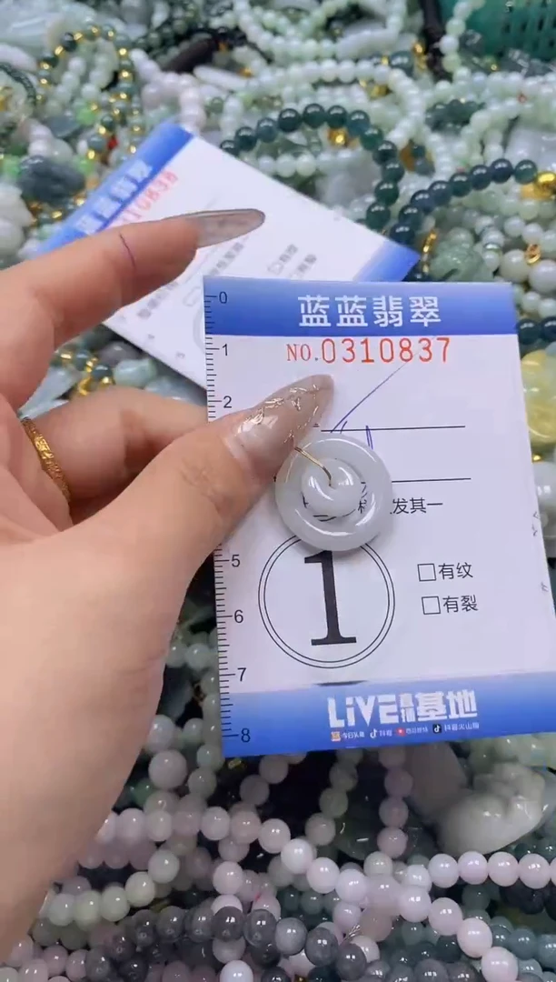翡翠未镶嵌颈饰闪购0310837
