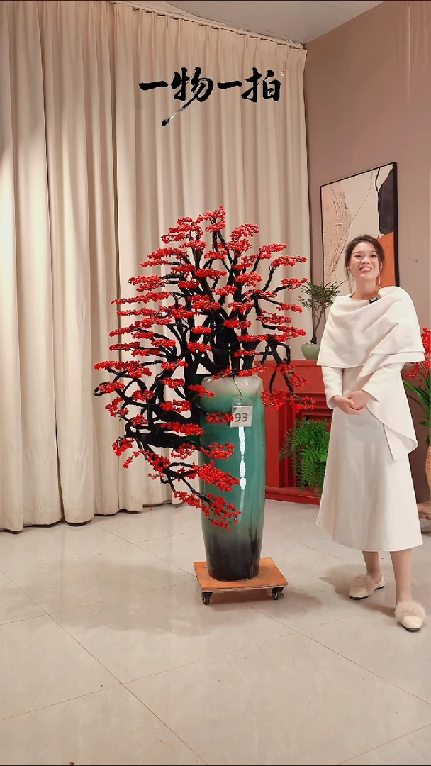 完全开放一***！93号北美冬青绿植链接