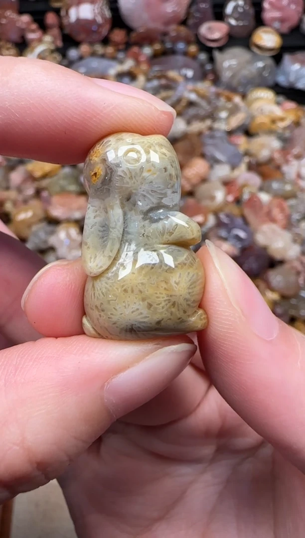 颈饰未镶嵌硅化珊瑚（珊瑚玉）519