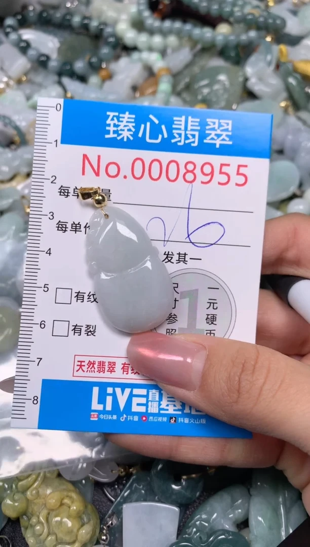 【闪购商品】翡翠颈饰未镶嵌含绳0008955