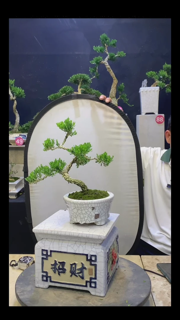 完全开放江***）1111