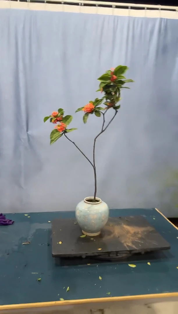 龙船花龙船花龙船花龙船花龙船花