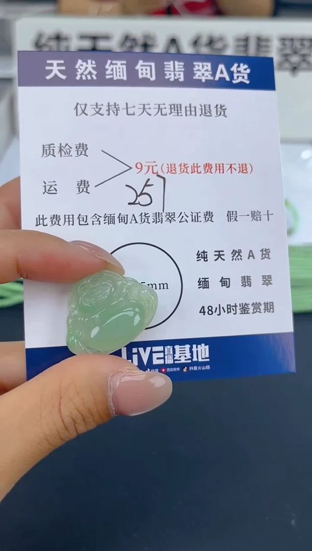 颈饰未镶嵌翡翠纯天然缅甸翡翠A货