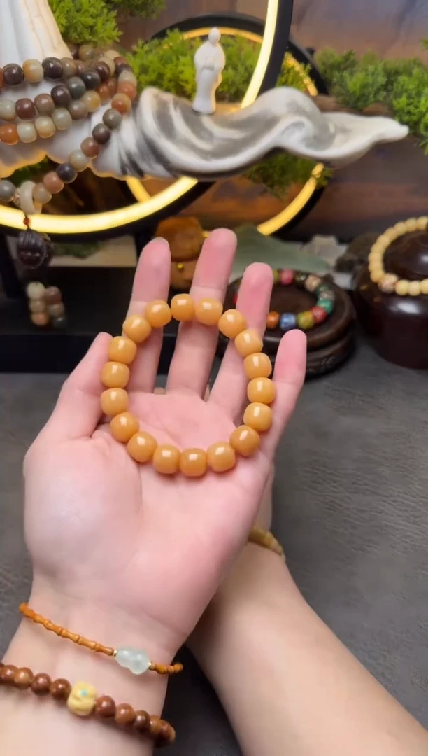 【闪购商品】菩提根/象牙果手串爱玛仕橙 老型桶珠