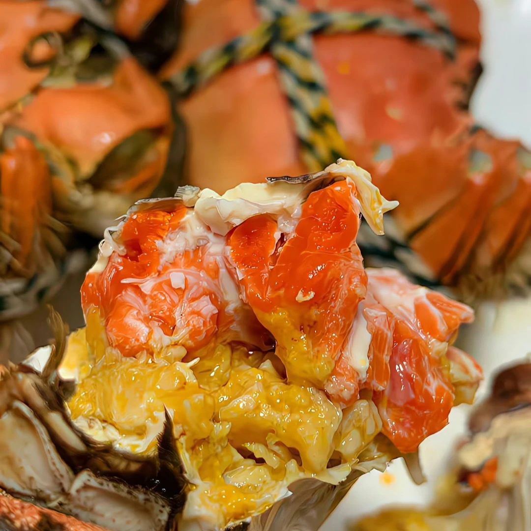 河蟹大闸蟹1.5-2两母蟹10只装