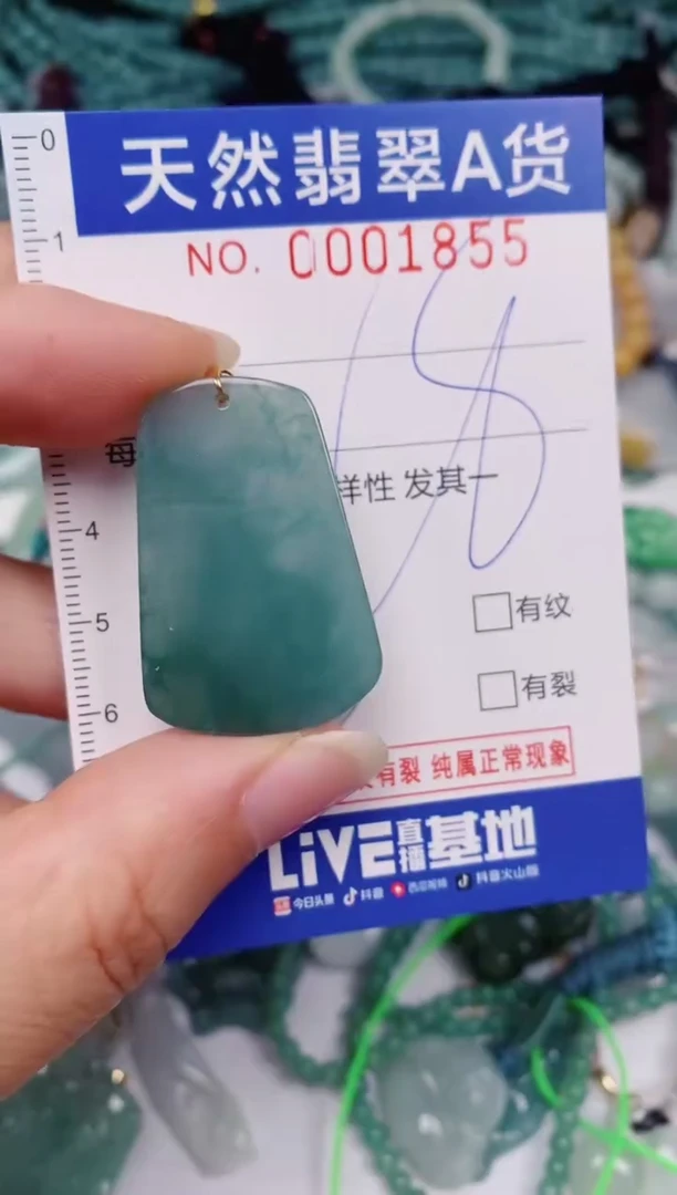 颈饰未镶嵌翡翠00001855