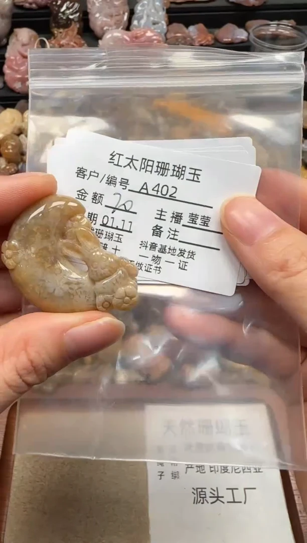 【闪购商品】硅化珊瑚（珊瑚玉）颈饰未镶嵌402