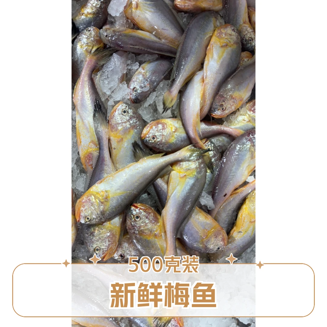 新鲜大梅鱼500g