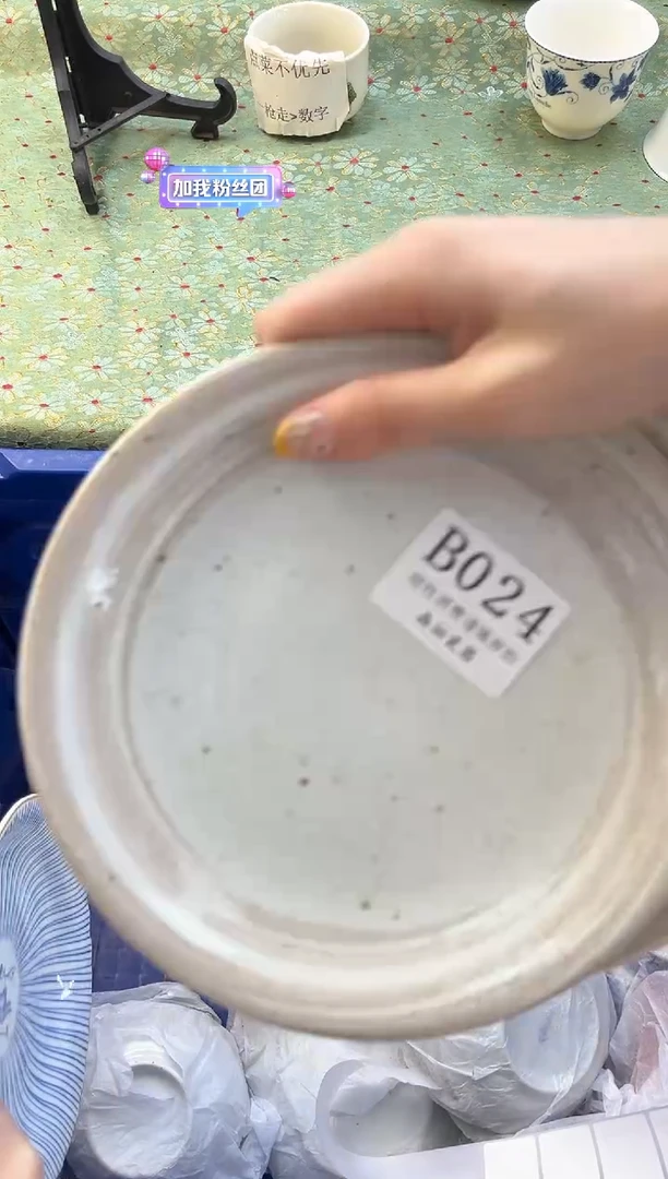 【闪购商品】瓷片          B024