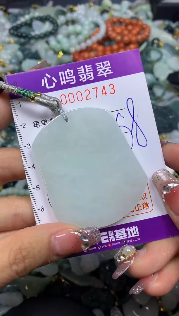 【闪购商品】翡翠颈饰未镶嵌闪购002743