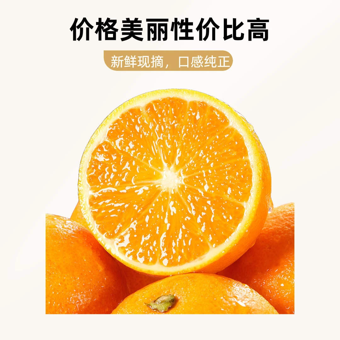 埃及果冻橙橙子500g