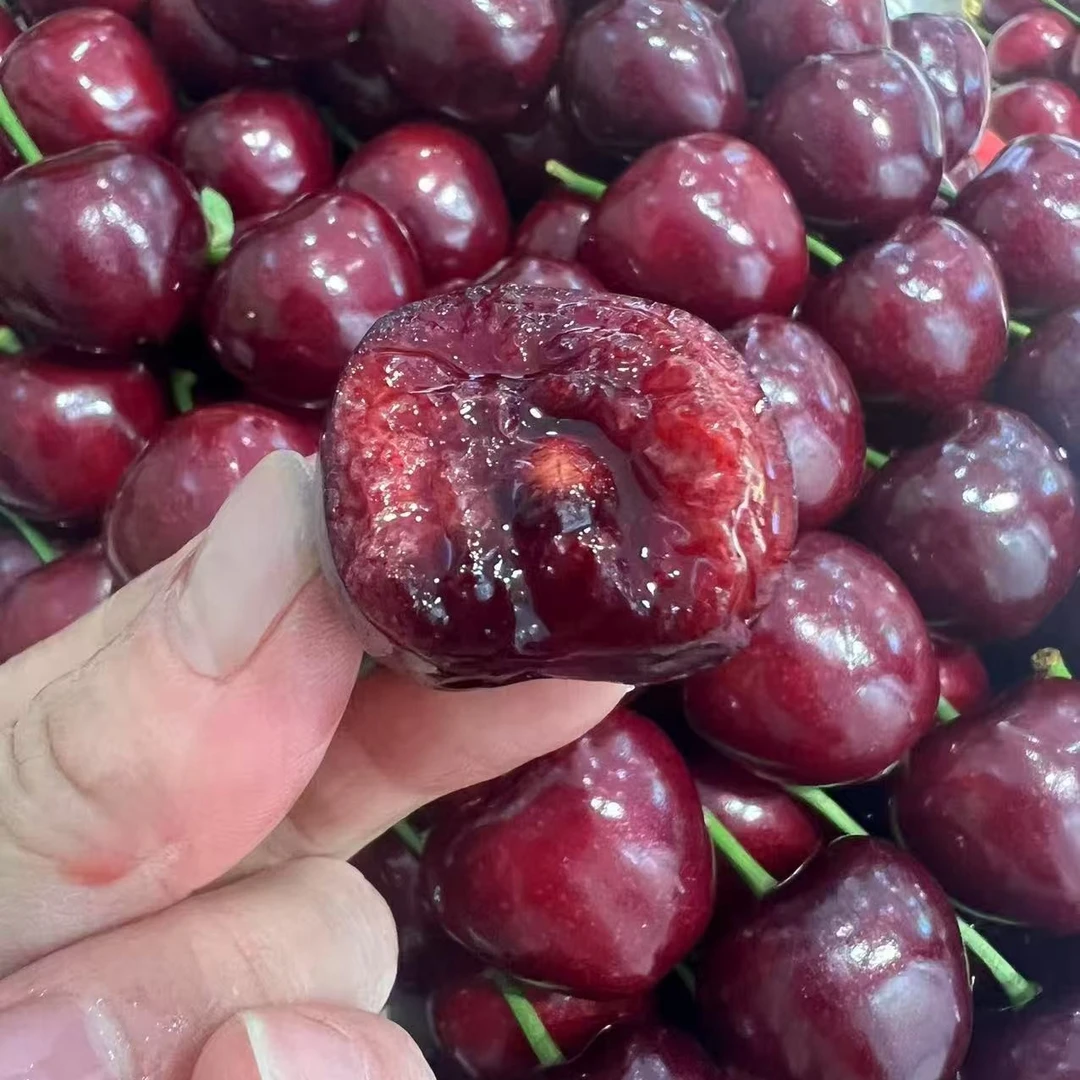 新鲜美早大樱桃500g  JJJ