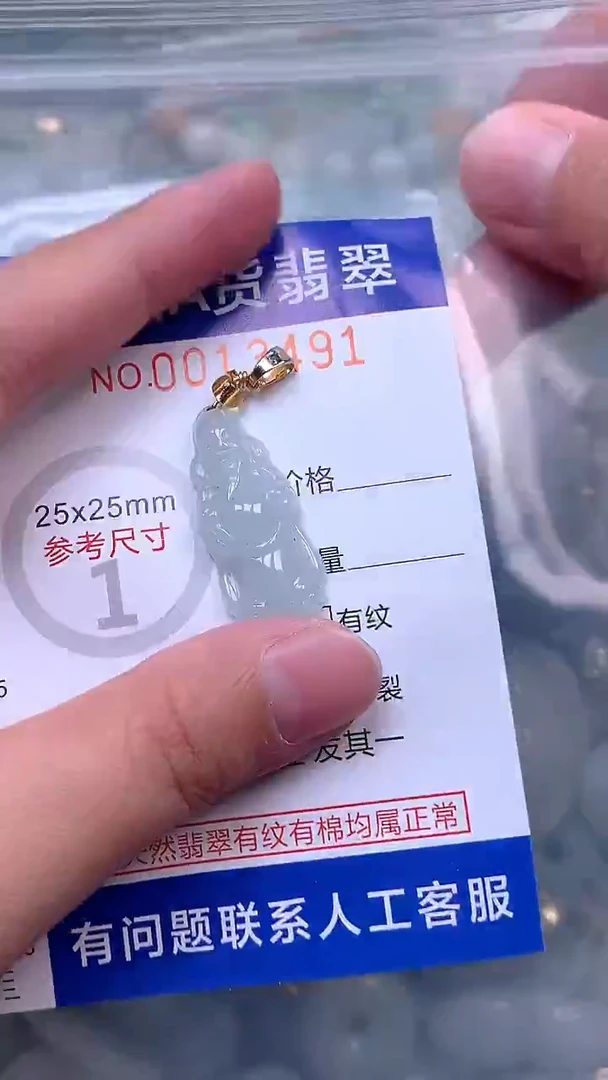 吊坠(赠链)未镶嵌翡翠1