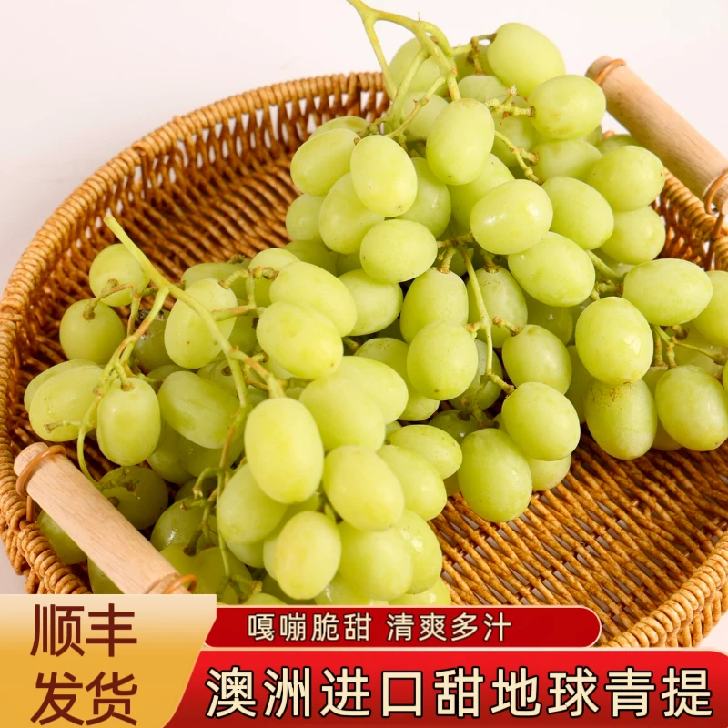 澳大利亚进口甜地球青提澳洲无籽青提脆甜多汁新鲜提子顺丰空运