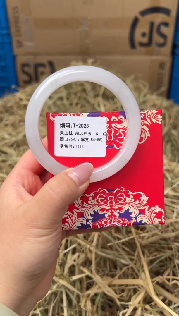 未镶嵌手镯石英质玉T-2023